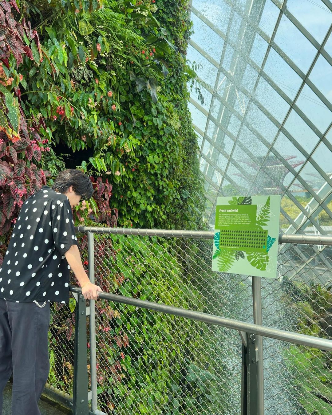 植物園を満喫する神宮寺勇太（神宮寺の公式インスタグラムから）