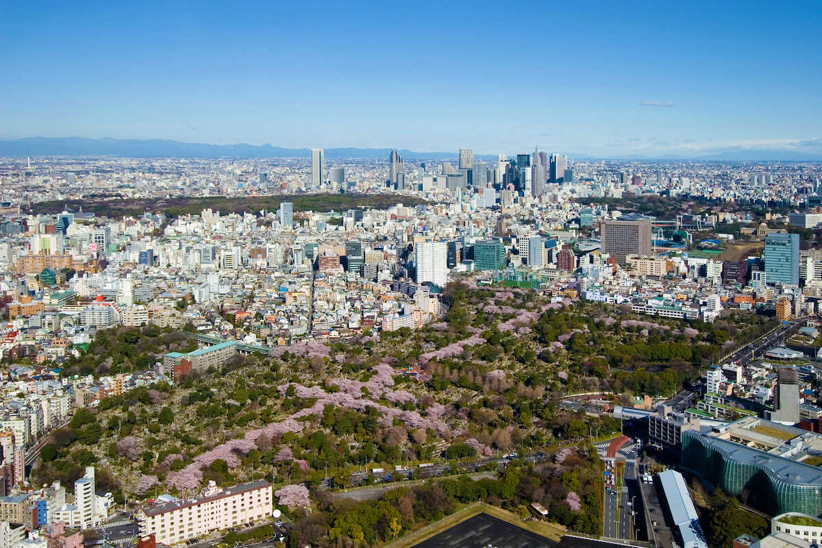 展覧会会場の東京シティビューからは都内のお花見スポットを海抜250メートルの“天空”からぐるりと観覧できる©LAPONE　Entertainment