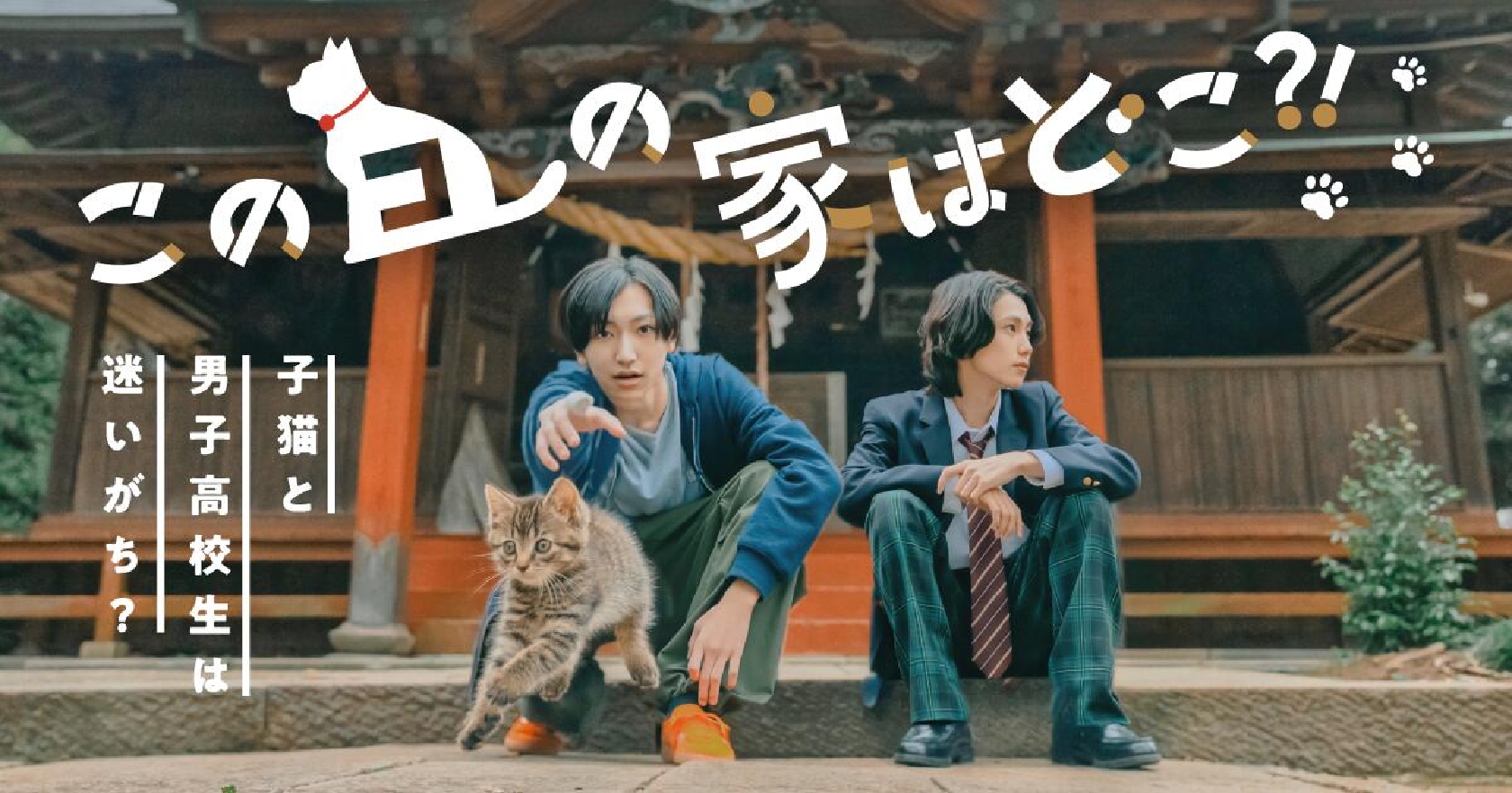 CLASS SEVEN・高田憐 主演ショートドラマ「このコの家はどこ⁈」が24日からアプリ「BUMP」で配信開始