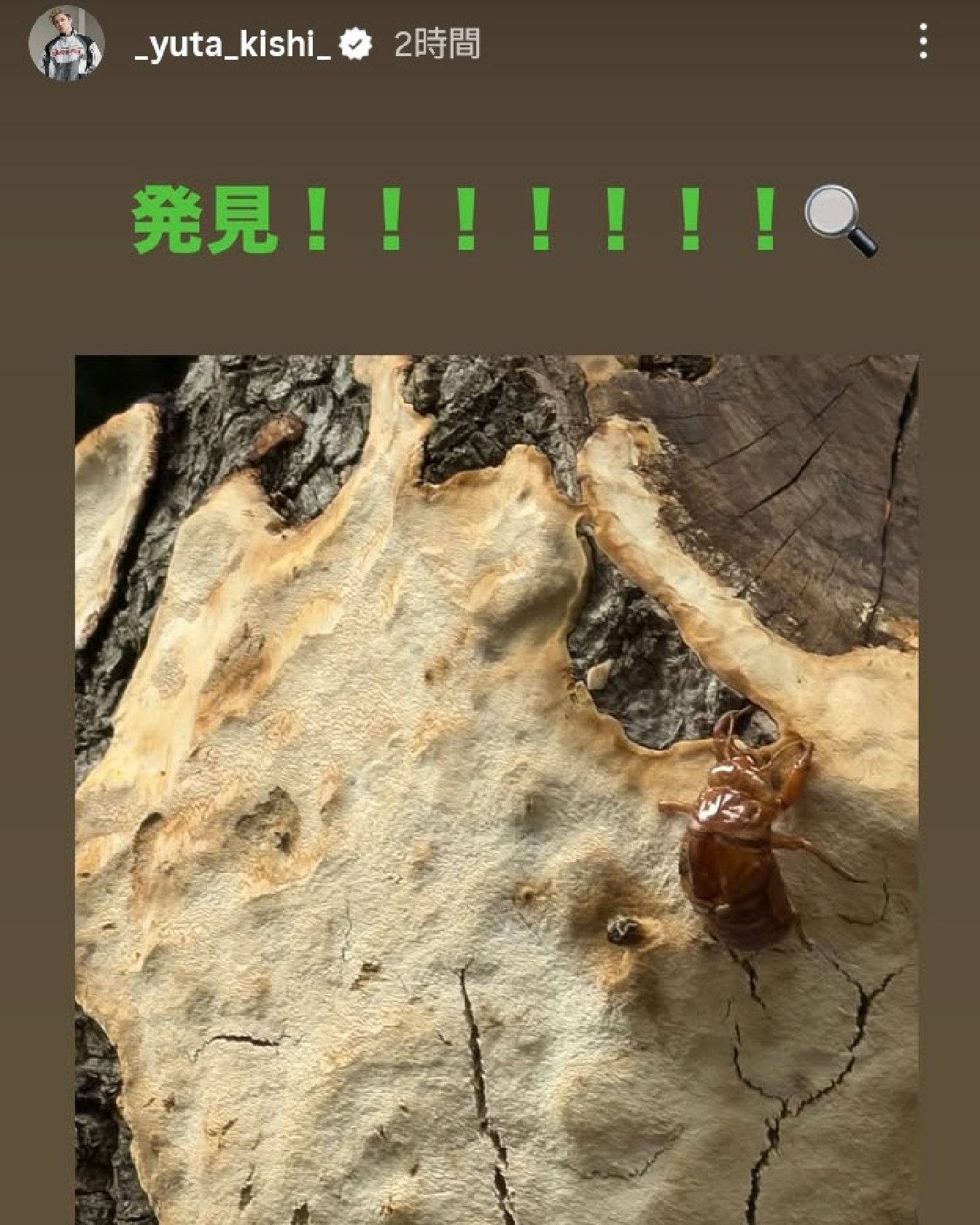 Number_i 岸優太、童心たっぷりに「発見!!!!!!!」 夏の名残に大興奮、ファンも「こんな綺麗に残ってるの初めて」