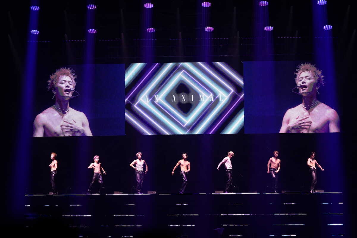 BALLISTIK BOYZ、肉体美を大胆披露!都内初アリーナライブでファン熱狂